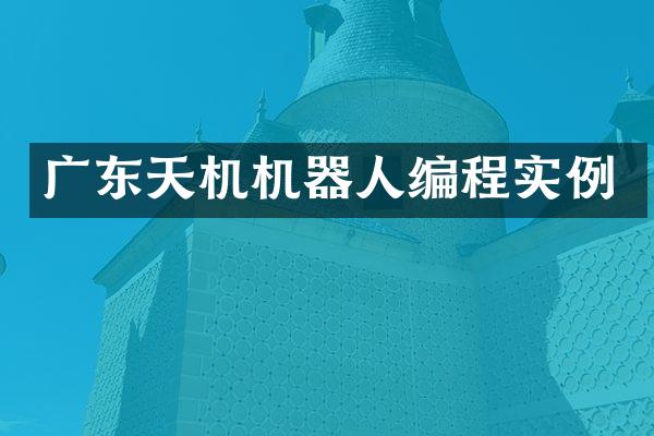 广东天机机器人编程实例