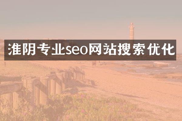 淮阴专业seo网站搜索优化