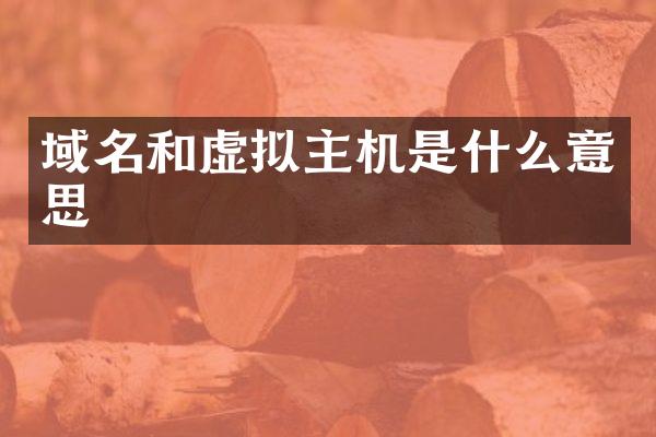 域名和虚拟主机是什么意思