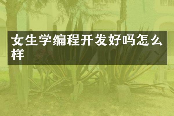 女生学编程开发好吗怎么样