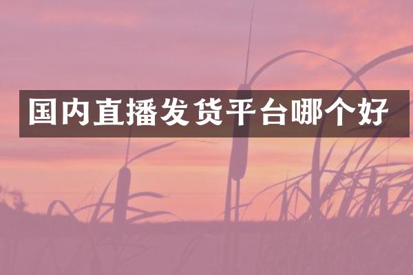 国内直播发货平台哪个好