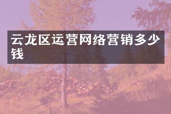 云龙区运营网络营销多少钱