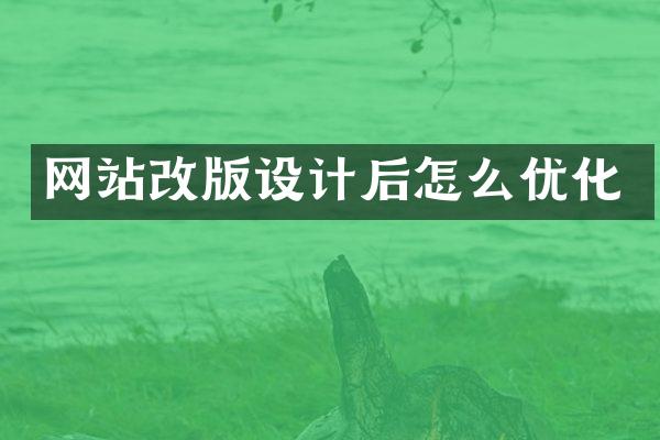 网站改版设计后怎么优化