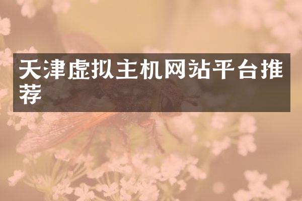 天津虚拟主机网站平台推荐