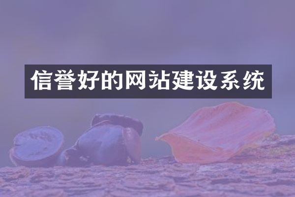 信誉好的网站建设系统