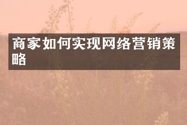 商家如何实现网络营销策略