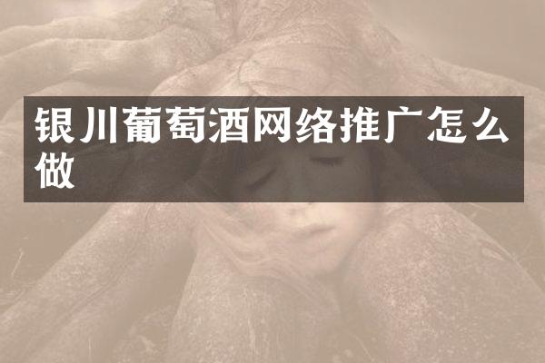 银川葡萄酒网络推广怎么做