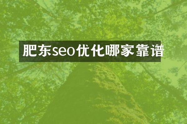 肥东seo优化哪家靠谱
