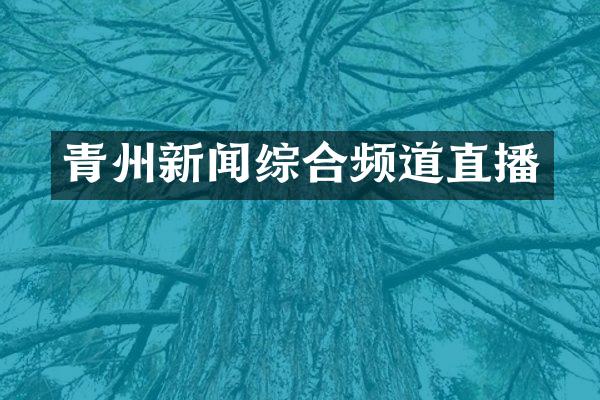 青州新闻综合频道直播