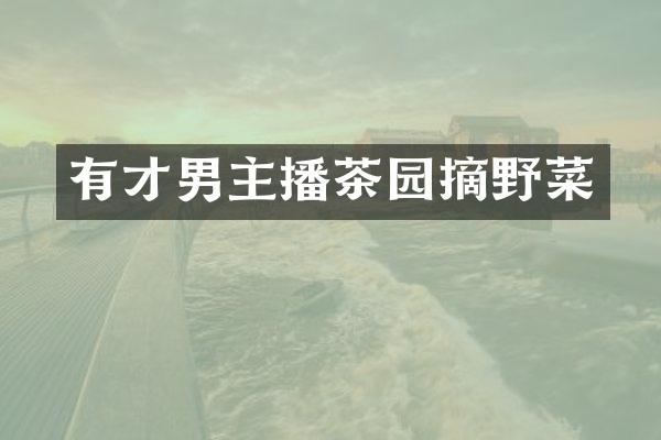 有才男主播茶园摘野菜