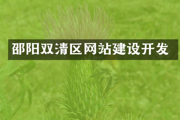 邵阳双清区网站建设开发