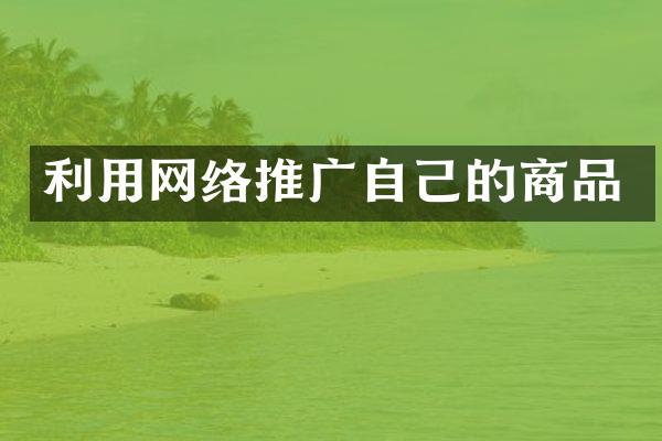 利用网络推广自己的商品
