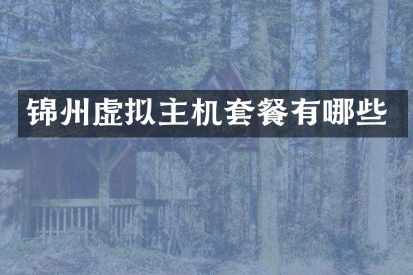 锦州虚拟主机套餐有哪些
