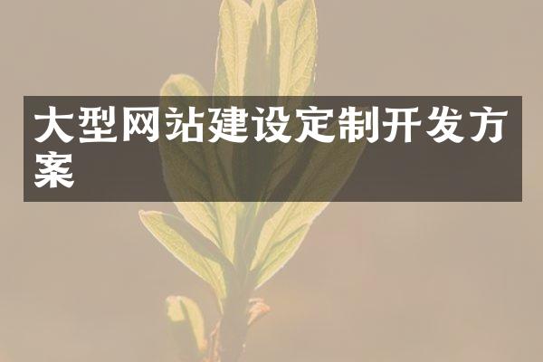 大型网站建设定制开发方案