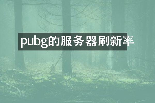 pubg的服务器刷新率