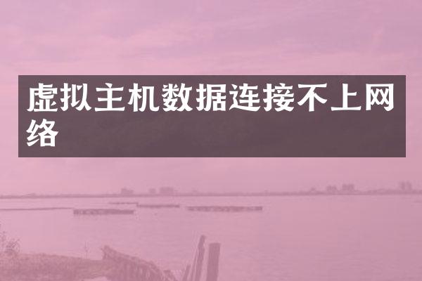 虚拟主机数据连接不上网络