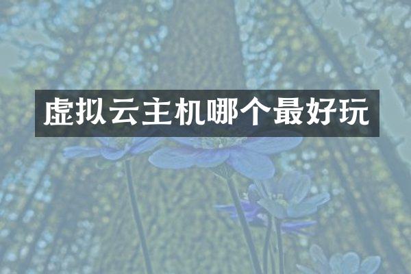 虚拟云主机哪个最好玩