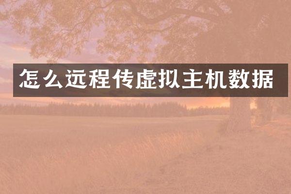 怎么远程传虚拟主机数据