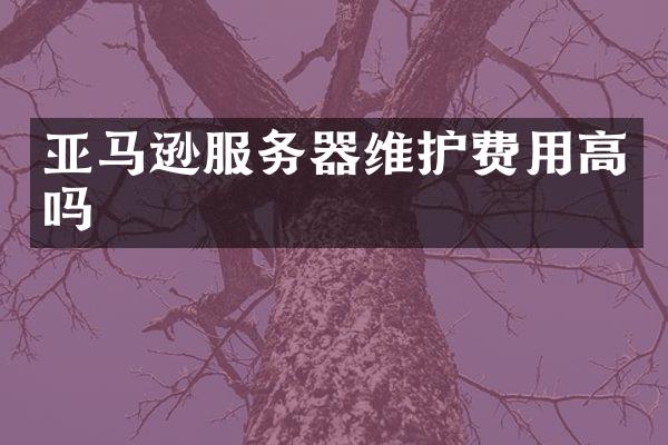 亚马逊服务器维护费用高吗