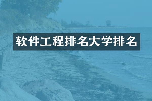 软件工程排名大学排名