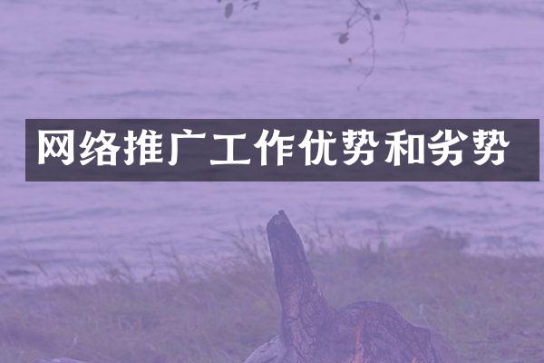 网络推广工作优势和劣势