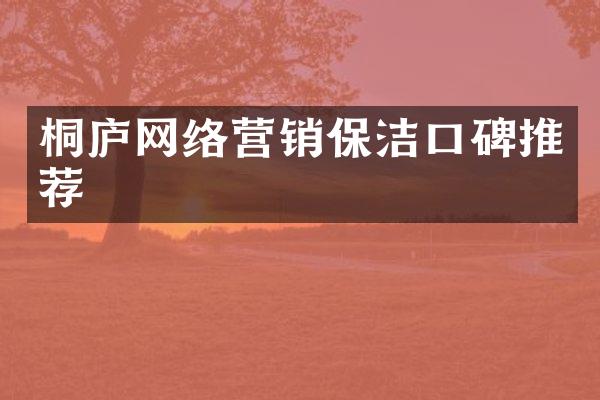 桐庐网络营销保洁口碑推荐