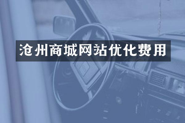 沧州商城网站优化费用