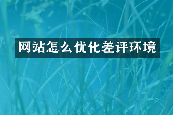 网站怎么优化差评环境