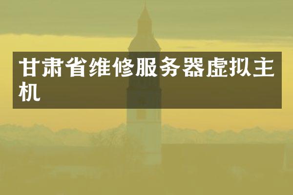 甘肃省维修服务器虚拟主机