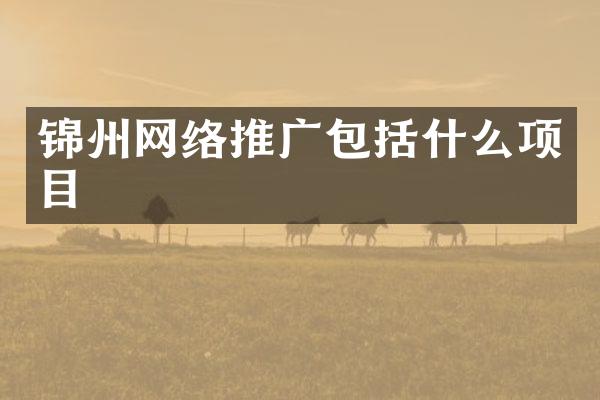 锦州网络推广包括什么项目
