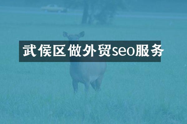 武侯区做外贸seo服务