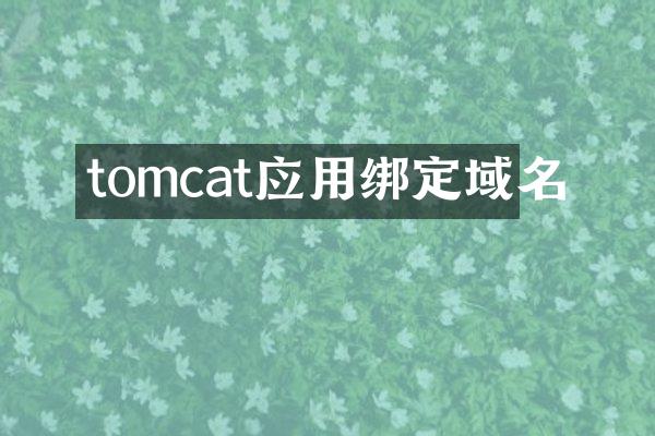 tomcat应用绑定域名