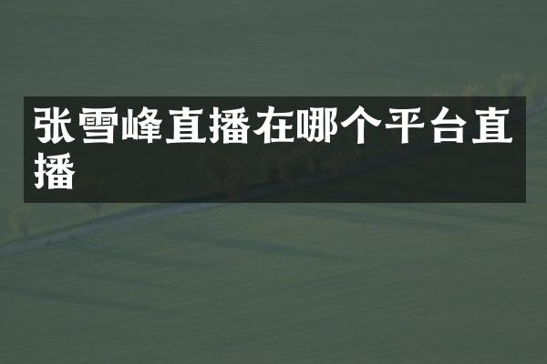 张雪峰直播在哪个平台直播