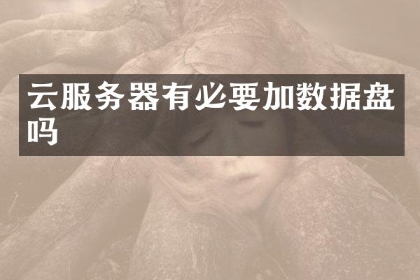 云服务器有必要加数据盘吗