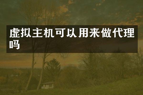 虚拟主机可以用来做代理吗