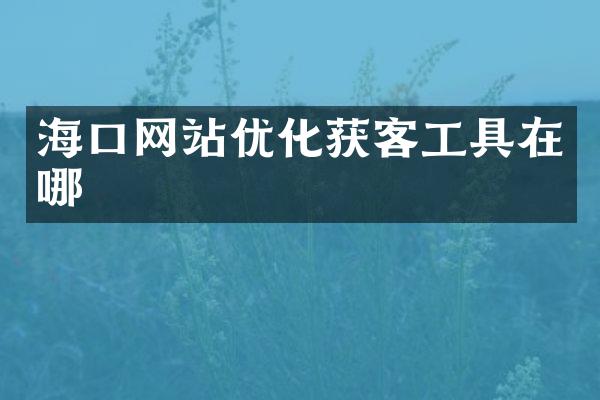 海口网站优化获客工具在哪