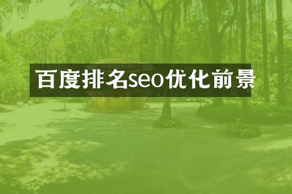 百度排名seo优化前景