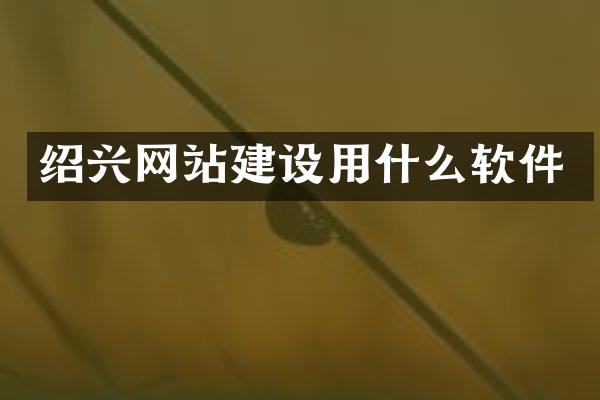 绍兴网站建设用什么软件