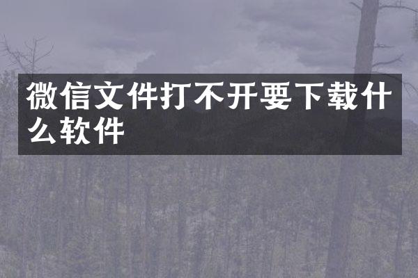 微信文件打不开要下载什么软件
