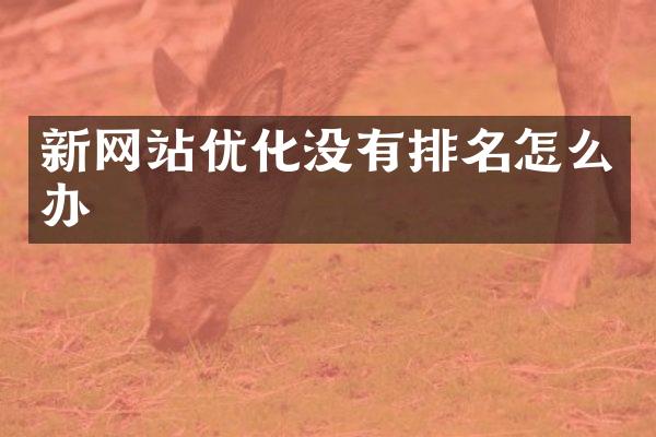 新网站优化没有排名怎么办
