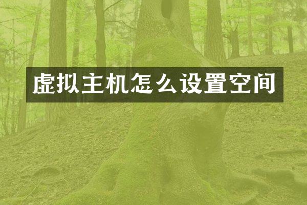 虚拟主机怎么设置空间