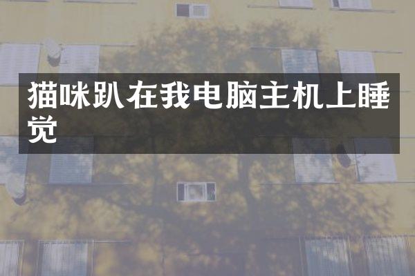 猫咪趴在我电脑主机上睡觉