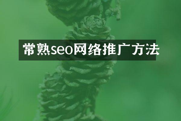 常熟seo网络推广方法