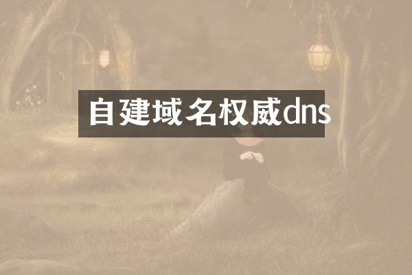 自建域名权威dns