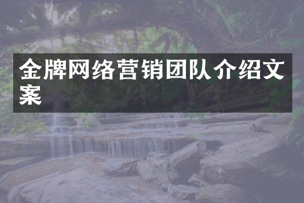 金牌网络营销团队介绍文案