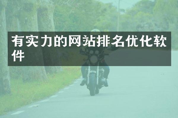有实力的网站排名优化软件