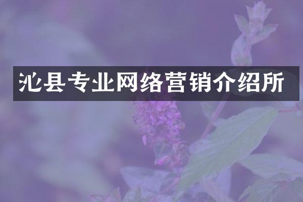 沁县专业网络营销介绍所
