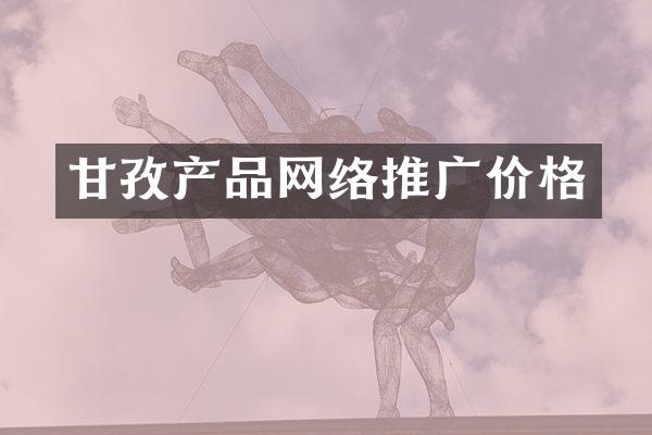 甘孜产品网络推广价格