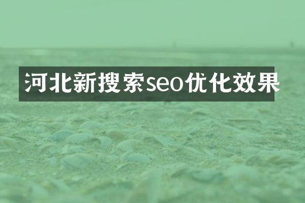 河北新搜索seo优化效果