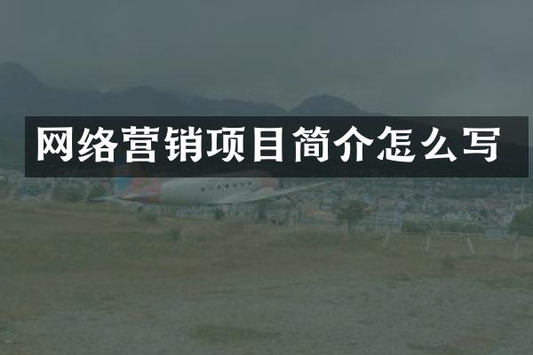 网络营销项目简介怎么写